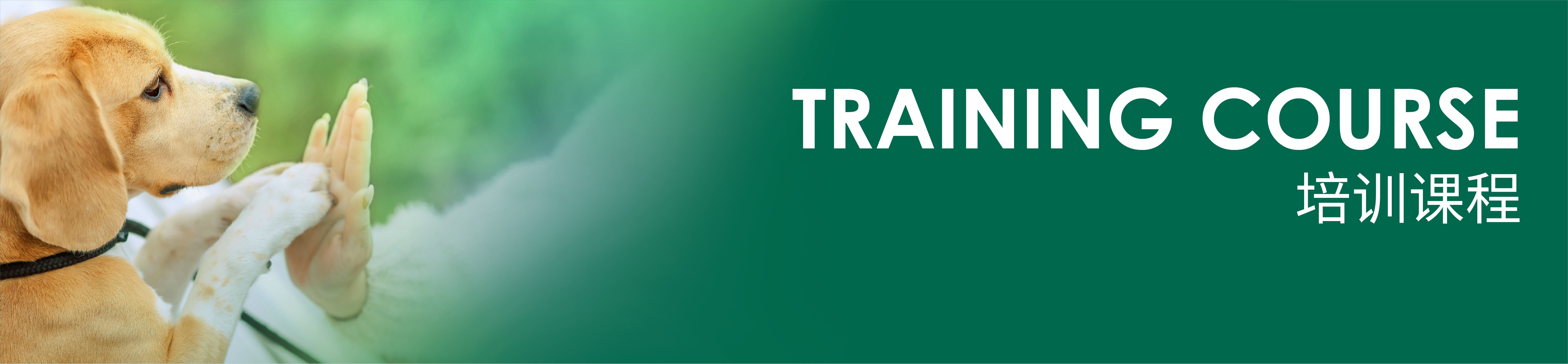 Training Course Banner